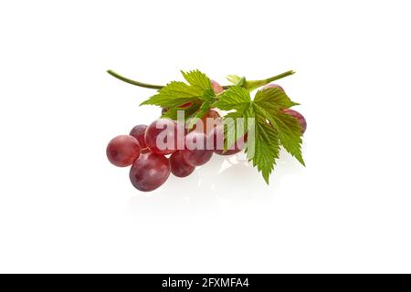 Ripe red grape. Bunch with leaves isolated on white background Stock Photo