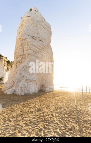 Towering white rock monolith Pizzomunno at sunrise, Vieste, Foggia province, Gargano National Park, Apulia, Italy, Europe Stock Photo