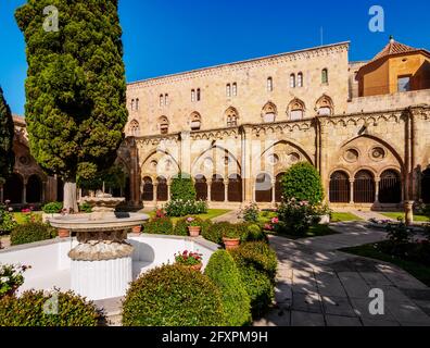 Cloister of the Santa Tecla Cathedral, Tarragona, Catalonia, Spain, Europe Stock Photo