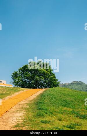 Daeseong-dong Ancient Tombs in Gimhae, Korea Stock Photo