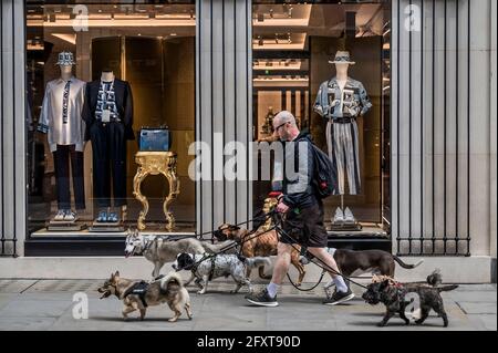 London, UK. 27th May, 2021. A dog walker, outside Dolce & Gabbana, enjoys old Bond Street as the sun finally appears and the weather begins to warm up. Credit: Guy Bell/Alamy Live News Stock Photo