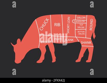 Cut of beef set. Poster Butcher diagram - Cow. Vintage typographic hand-drawn. Stock Vector