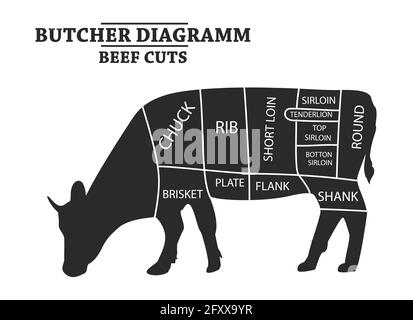 Cut of beef set. Poster Butcher diagram - Cow. Vintage typographic hand-drawn. Stock Vector