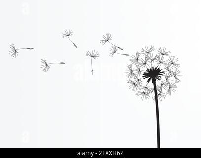 Abstract background of a dandelion for design. The wind blows the seeds of a dandelion. Template for posters, wallpapers, posters. Vector illustration Stock Vector