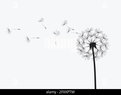 Abstract background of a dandelion for design. The wind blows the seeds of a dandelion. Template for posters, wallpapers, posters. Vector illustration Stock Vector