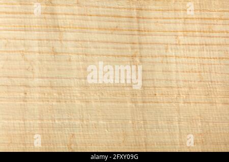 Papyrus paper texture background Stock Photo