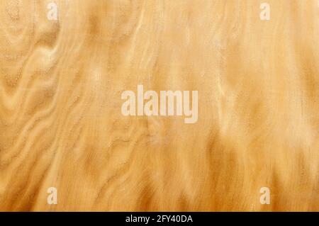 Wood Grain On Plywood. Plywood texture with natural wood pattern Stock Photo