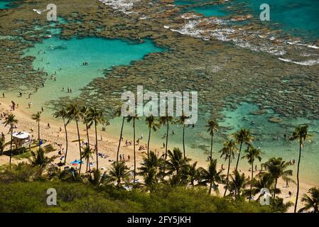Aerial of calm, turquoise tropical waters and coral reef, Hanauma Bay, a top tourism destination for snorkeling swimming, Oahu, Honolulu, Hawaii, USA Stock Photo