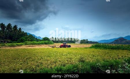 Modern tractor with former harvesting rice plant with nature mountain background. Nagercoil, Kanyakumari District. South India. Stock Photo