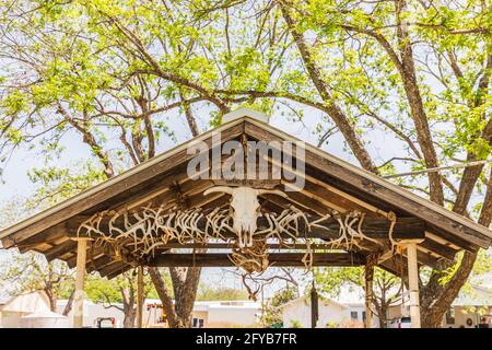 Castroville, Texas, USA. April 12, 2021. Gazebo with cow skull and deer antlers in the Texas hill country. Stock Photo
