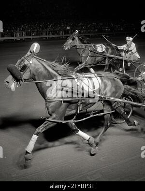 1950s TWO STANDARDBRED TROTTER GAIT HORSES LEADING IN NIGHT HARNESS RACE MEN DRIVERS WEARING SILKS SITTING ON SULKY CARRIAGES  - h3162 HAR001 HARS PERSONS INSPIRATION MALES RISK PROFESSION DRIVERS ENTERTAINMENT CONFIDENCE TRANSPORTATION LEADING B&W CARRIAGE WIDE ANGLE SKILL OCCUPATION SKILLS MAMMALS STRENGTH STRATEGY CAREERS CHOICE EXCITEMENT POWERFUL LABOR IN ON OPPORTUNITY EMPLOYMENT OCCUPATIONS PROFESSIONAL SPORTS CONCEPTUAL HARNESS STYLISH TROTTERS SPIDER SULKY EMPLOYEE SILKS TROT TROTTER GAIT HARNESS RACING MAMMAL MID-ADULT MID-ADULT MAN NIGHTTIME PACE BLACK AND WHITE HAR001 LABORING Stock Photo