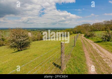 The South Downs Way long distance path as it heads east to Chanctonbury Ring from near to the village of Washington, West Sussex, UK. Stock Photo