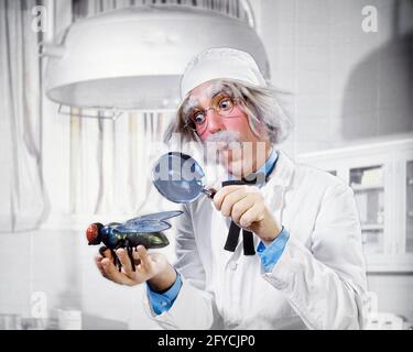 1970s MAD SCIENTIST MAN HEAD-ON PORTRAIT OF CRAZY ENTOMOLOGIST IN LABORATORY LOOKING AT GIANT FLY INSECT WITH MAGNIFYING GLASS - kc4850 HAR001 HARS PERSONS DANGER MALES RISK INSECT SENIOR MAN SENIOR ADULT WIDE BIZARRE VISION BUG-EYED HUMOROUS WEIRD DISCOVERY GROTESQUE EXCITEMENT ZANY COMICAL UNCONVENTIONAL OCCUPATIONS CONCEPTUAL COMEDY ESCAPE STYLISH WACKY IDIOSYNCRATIC SCI-FI WIDE-EYED AMUSING ECCENTRIC GROWTH HEAD-ON N SCIENCE FICTION STARTLED WILDLIFE CAUCASIAN ETHNICITY CRAZY ERRATIC GIANT HAR001 OLD FASHIONED OUTRAGEOUS Stock Photo