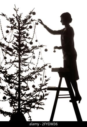 1920s SILHOUETTE OF ANONYMOUS YOUNG WOMAN STANDING ON STEP LADDER HANGING FESTIVE FANCY DECORATIONS ON TALL CHRISTMAS PINE TREE  - s1460 HAR001 HARS CELEBRATION FEMALES HOME LIFE FULL-LENGTH LADIES PERSONS INSPIRATION CARING FANCY SPIRITUALITY CONFIDENCE B&W HAPPINESS LEISURE STRENGTH SILHOUETTED MERRY CHOICE LOW ANGLE RECREATION PRIDE OF ON DECEMBER CONCEPTUAL DECEMBER 25 STYLISH ANONYMOUS CREATIVITY JOYOUS MID-ADULT MID-ADULT WOMAN YOUNG ADULT WOMAN BLACK AND WHITE FESTIVE HAR001 OLD FASHIONED Stock Photo