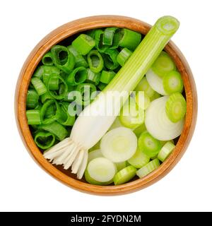 Fresh scallion bulb and sliced scallions, in a wooden bowl. Green onions, also called spring onions or sibies. Vegetable with mild onion taste. Stock Photo