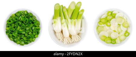 Fresh scallion bulbs and sliced scallions, in white bowls. Green onions, also called spring onions or sibies, a vegetable with mild onion taste. Stock Photo