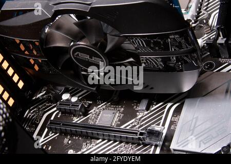 ASUS Computer Video Card Stock Photo