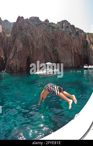 France, Corse du Sud, diver and salema fish bank, underwater view Stock  Photo - Alamy