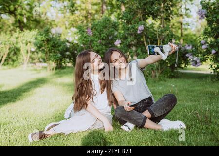 Smiling pretty young women influencer bloggers are filming or recording video with their smartphone on a stabilizer, in a sunny green park outside. Bl Stock Photo