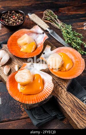 Fresh raw Scallops in shells on a rustic wooden board with thyme. Dark wooden background. Top view Stock Photo