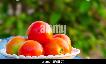 Fresh tomatoes on a white plate. Selective focus. Five tomatoes with bowl on a blurred background close up Stock Photo
