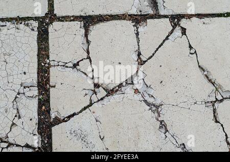 Old Cracked paving tiles. White wet sidewalk. Daytime. Shooting in the rain. Selective focus. Stock Photo