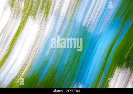 Abstract blurred background of green leaves and blue sky with highlights. Long exposure photo. Stock Photo