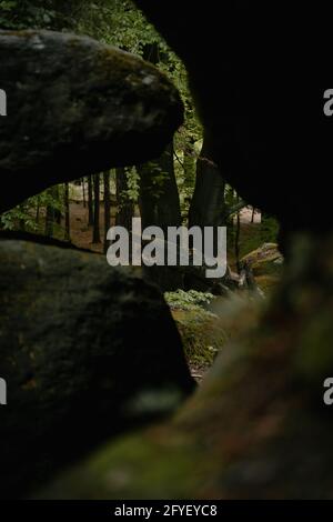 Vertical shot of overgrown rocks and trees with moss in a forest Stock ...