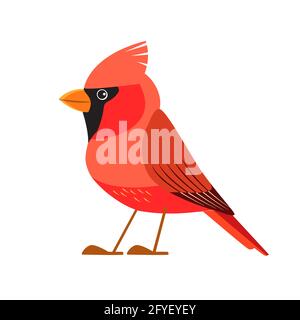 Northern cardinal is a bird in the genus Cardinalis, it is also known as the redbird. Songbird Cartoon flat style beautiful character of ornithology Stock Vector