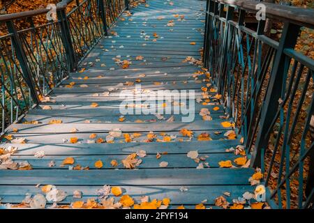 Descending stairs in the autumn city park. A wide wooden staircase with steps covered with fallen yellow autumn leaves Stock Photo