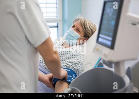 Nurse with an hospitalized patient. Limoges hospital, France.. Stock Photo