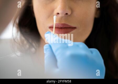 PCR Or Rapid Antigen Covid 19 Nose Swab Test Stock Photo