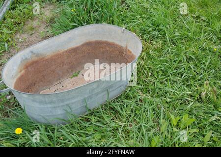 An old metal trough, rusted to holes, on the green grass. Selective focus. Stock Photo