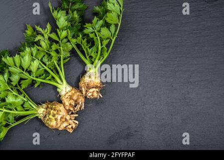 Roots of celery, green vegetables, organic food from local market on black background Stock Photo