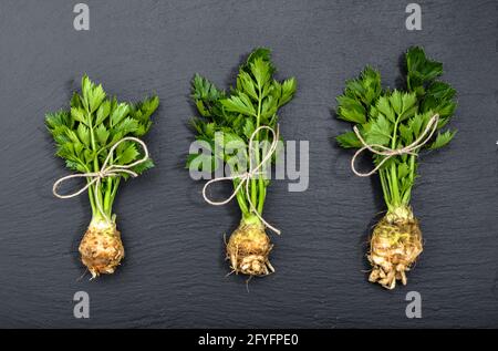 Root of celery with leaves, local market vegetables on black background, flat lay, from above Stock Photo