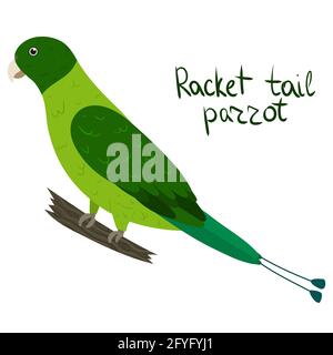 Green racket-tail parrot in cartoon style on white background. Vector hand drawn illustration. Prioniturus luconensis Stock Vector