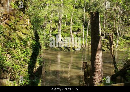 Little Miami River flowing through Clifton Gorge State Nature Preserve, OH, USA. Stock Photo