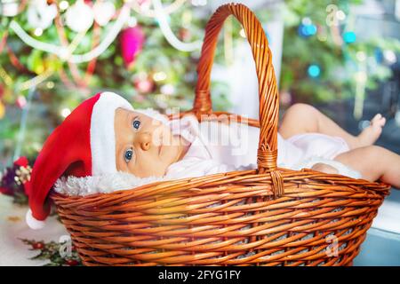 Baby girl lay in basket under Christmas tree Stock Photo