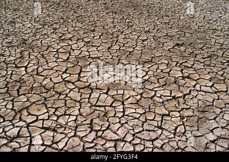 Australia. New South Wales. Drought. Parched cracked ground. Stock Photo