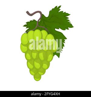 Bunch of wine grapes icon in cartoon style isolated on white background. Spain country symbol stock vector illustration. Stock Vector
