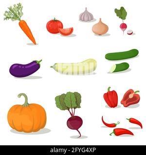 Bright vector illustration of colorful vegetables. Fresh cartoon organic vegetable isolated on white background used for magazine, book, poster, card, Stock Vector