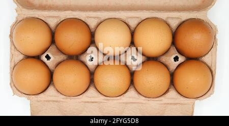 Top view on ten isolated brown fresh uncooked eggs in two rows in carboard box, white background Stock Photo