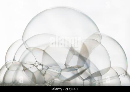 Many soap bubbles piled on white background close up Stock Photo
