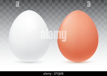 Vector egg. White and brown eggs isolated on a transparent background. Stock Vector