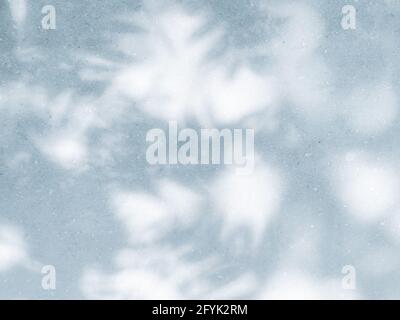 Natural shadows of tropical leaves in the direct sunlight on the blurred wall, overlay for summer product photo or presentation with space for text Stock Photo