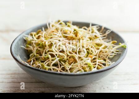 Fresh Fenugreek sprouts in a bowl.