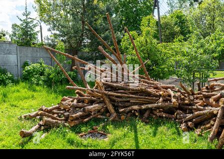 Peeled, uncut logs lying on a pile on the ground in the backyard. Stock Photo