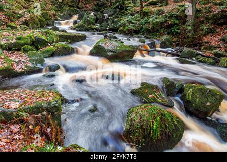 Autumn at one of the many waterfalls on Burbage Brook in the wonderful Padley Gorge, Peak District National Park, Derbyshire. Stock Photo