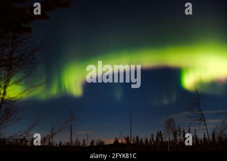 Bright curtain shaped northern lights over lapland. Stock Photo