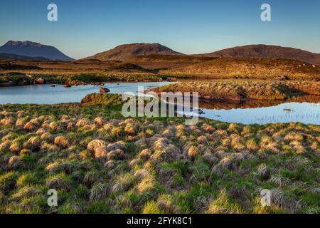 Golden early morning light at Loch Ba in Rannoch Moor, Scottish Highlands. Stock Photo